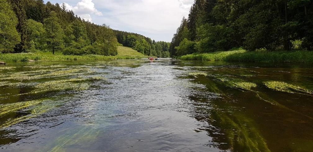 Ferienwohnung Wildgatter Grafenwiesen Luaran gambar